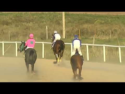 HIPODROMO SINT FLORIDA - 220421 c09 1° CARIM VANY