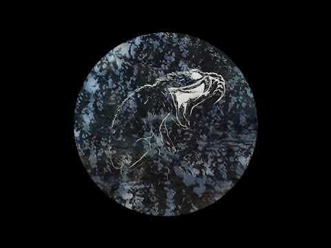 Indefinite Pitch PREMIERES. Neural Scape - Neuro Destructor [GIFKIKKER]