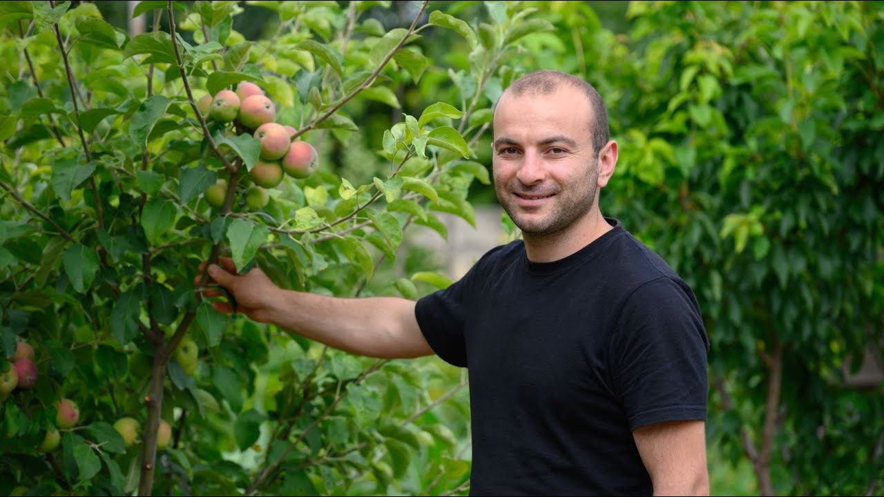 Սահմանամերձ Բերդավանում հիմնվել է հյուրատուն և էկզոտիկ այգի