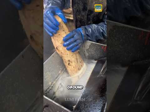 How is kudzu starch produced?