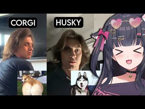 This is TOO FUNNY!! | How Dog Breeds React to Robbers (Jauncydev Reaction)