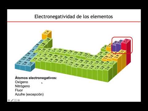 Agua - Biología Celular y Tisular