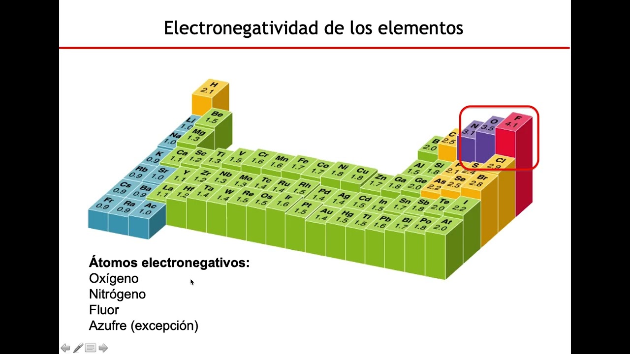 Agua - Biología Celular y Tisular