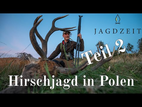 Jagdzeit - Hirschjagd in Polen Teil 2
