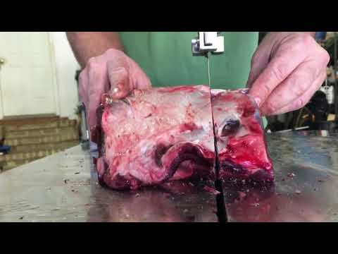 Iron bone saw machine working