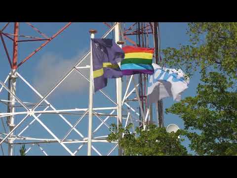 Proteha Matrimonio Hetero i Monogamo