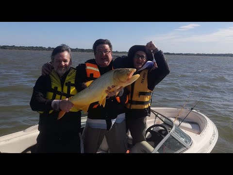 XXII° Torneo Internacional de Pesca del Dorado - Isla del Cerrito Chaco #amigosdepesca