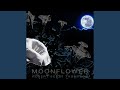 Moonflower
