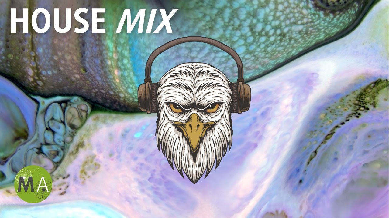 Upbeat Study Music House Mix for Deep Focus - Isochronic Tones