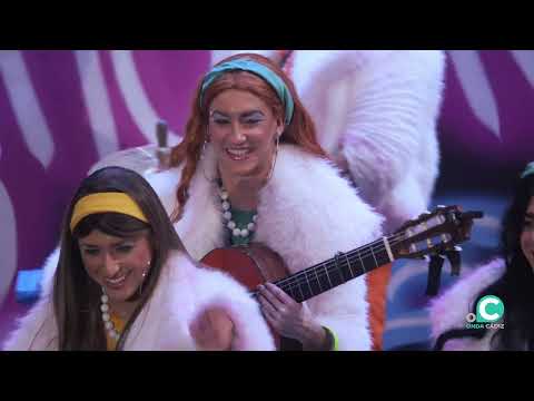 Chirigota, Una chirigota con shoniket3 - Preliminares