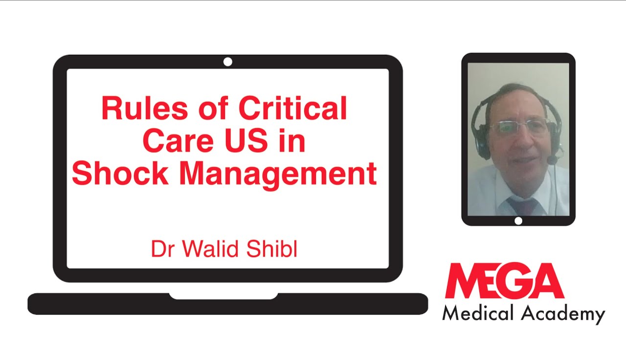 Rules of Critical Care US in Shock Management