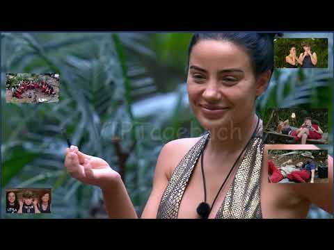 Dschungelcamp 2026:❤ Wer muss an Tag 12 in die Prüfung?✔