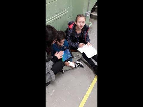 Sc. Gim. Vadu Parului, ULT, mobilitate Irlanda