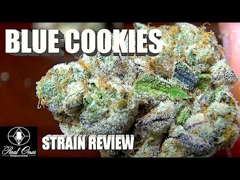 BLUE COOKIES STRAIN REVIEW