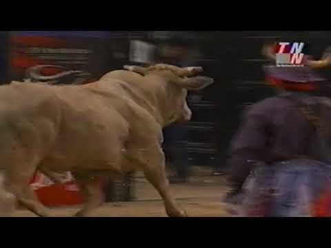 Clayton's Pet bucks Norman Curry - 01 PBR Finals