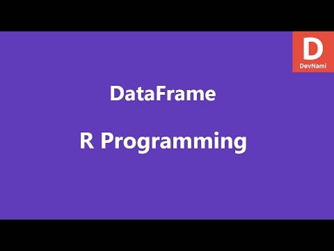 R Programming DataFrame