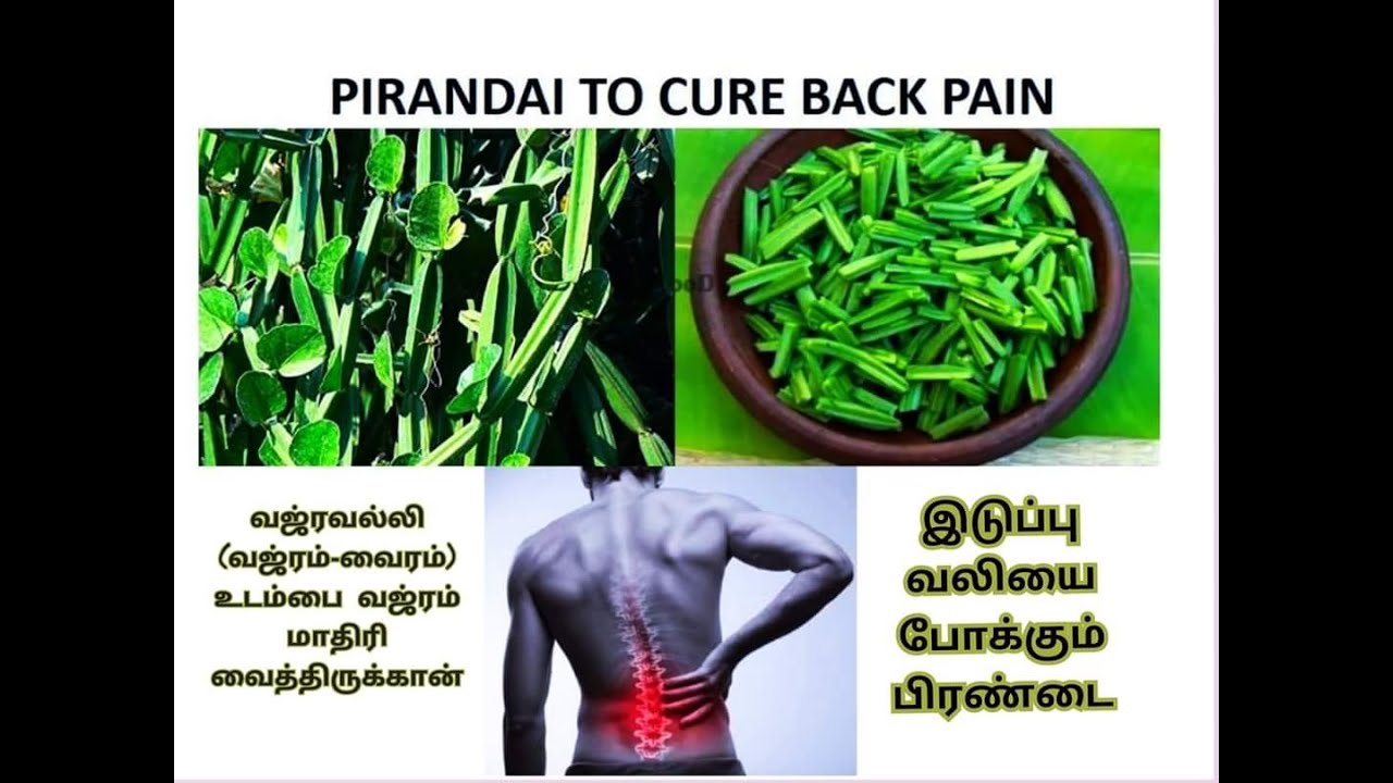எலும்புக்கு வலுவூட்டும், பசியை தூண்டும் பிரண்டை துவையல் | Pirandai Thuvayal | Dheivamtv