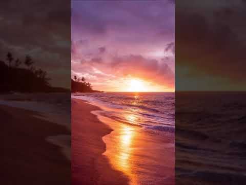 Always by Lil Traffic