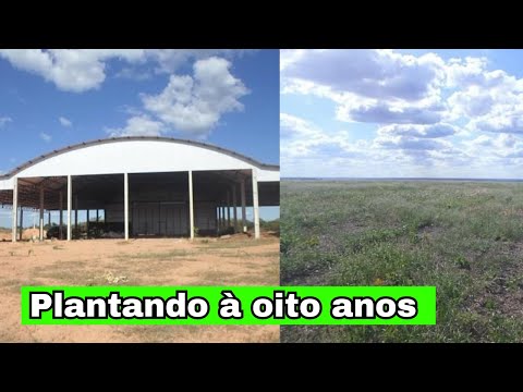 Fazenda de 2.112 hectares à venda em Currais Piauí
