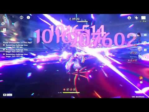 Raiden Shogun Hitting 1 Million Damage Showcase