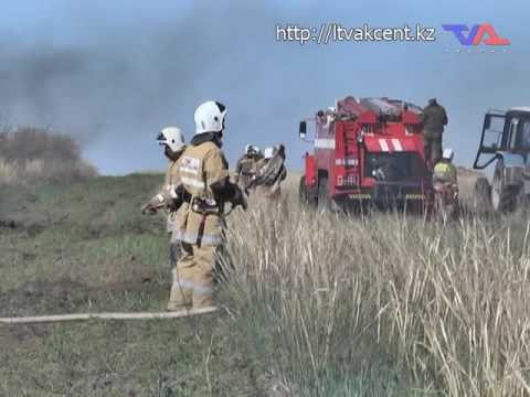 Выпуск программы «День» от 17 мая 2017г.