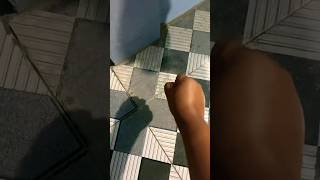 Download lagu Catch big frogs funny |Try don't laugh |wep wep catching frogs make you laugh #shorts #funny mp3 Download lagu Catch big frogs funny |Try don't laugh |wep wep catching frogs make you laugh #shorts #funny mp3