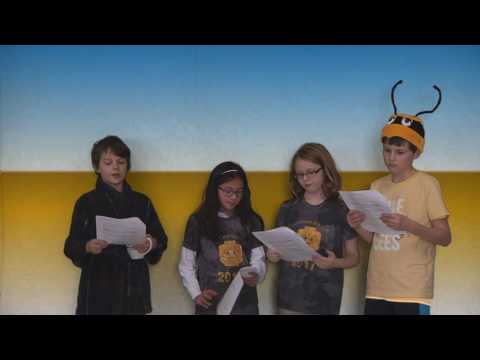 Friday November 18 2016