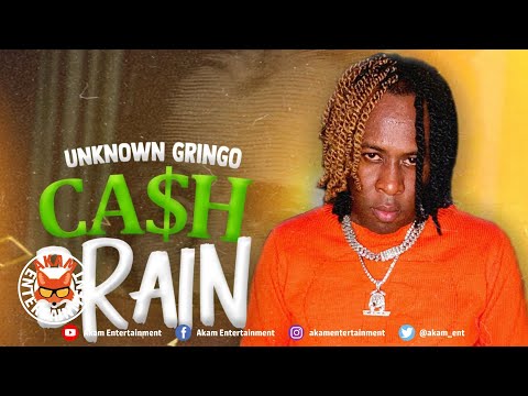 Unknown Gringo - Cash Brain [Audio Visualizer]