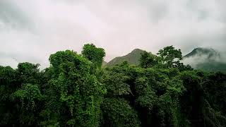 preview picture of video 'Koraput Hill View...a part, Full Romantic Natural Scene'