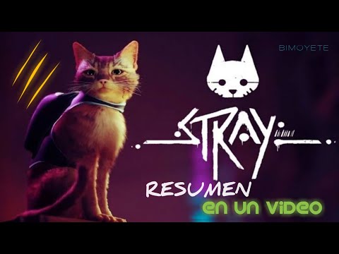 La Historia de STRAY  en un video