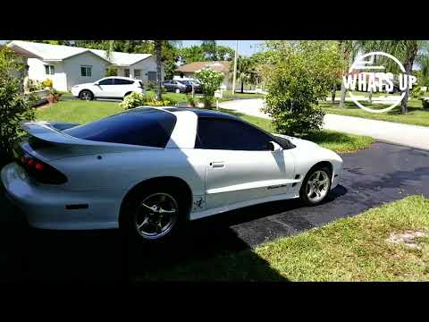 2002 Pontiac Firebird Trans Am WS6 (CC-1252822) for sale in Coral Springs, Florida