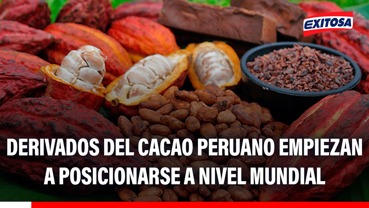 🔴🔵 Derivados del cacao peruano empiezan a posicionarse a nivel mundial