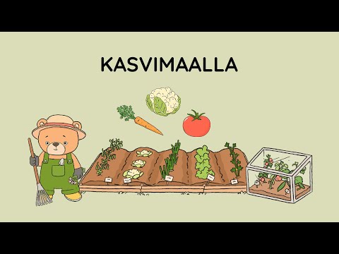 Kielinuppu - Kasvimaalla