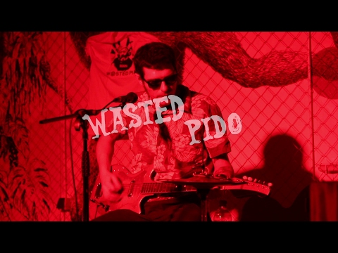 Wasted Pido (Kavez 10.2.2017.)