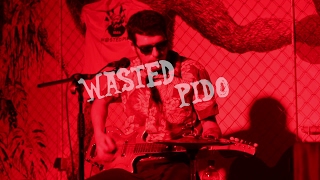 Wasted Pido (Kavez 10.2.2017.)