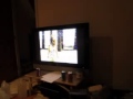 MVI 3993 Sesame Street Episodes