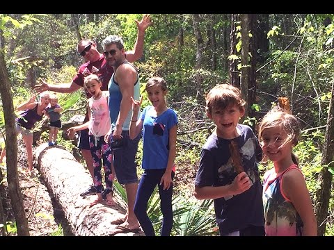 download lagu mp3 mp4 Adventuremed, download lagu Adventuremed gratis, unduh video klip Adventuremed