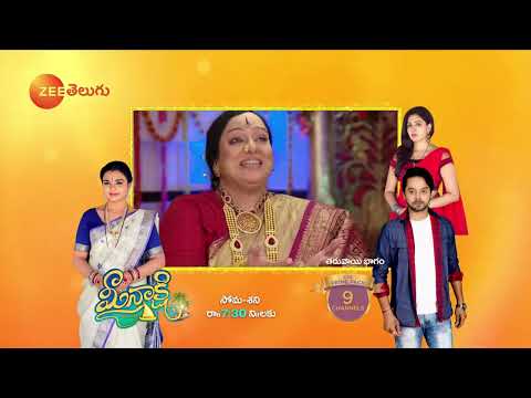 Rama Sakkani Seetha - Indian Telugu Tv Serial - Webisode - 26 - Jyothi, Nanda - Zee Telugu