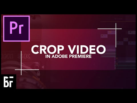 5 EASY Text Effects in Adobe Premiere Pro 2024