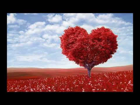 Tina Harris - Do you really want to hurt me