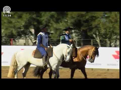 Região Norte – 1° e 2° lugar machos – Madrugador 532 da Reconquista e Umbú do Infinito (Campo II)