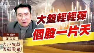 大盤輕輕彈 個股一片天 (圖)