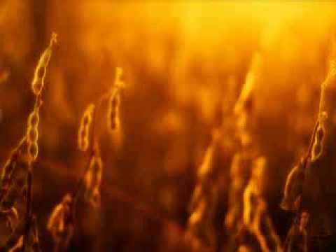 Piers Faccini - Come The Harvest