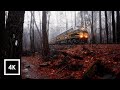 Relaxing Walk in Thunderstorm, Binaural Rain and Nature Sounds for Sleep and Study | 4k ASMR