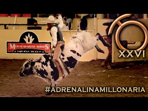 Bull Riding Day 31 Pure Adrenaline - THV Millionaire Championship 2023