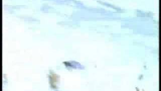 Matt and Summer--Sky Rider Season 4 pt. 5 video