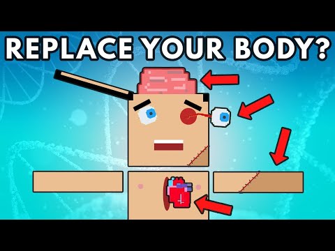 你的身體有多少器官可移植呢？ (How Much Of Your Body Can Be Replaced?)