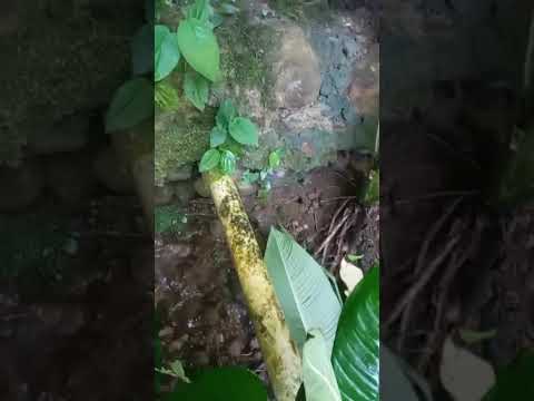 Bello lugar tumbador San Marcos  