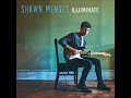 Shawn Mendes - Understand
