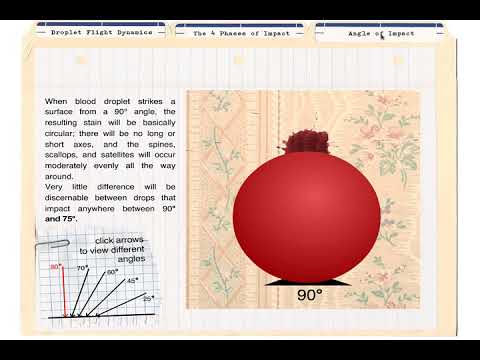 Whole Blood Spatter Animation